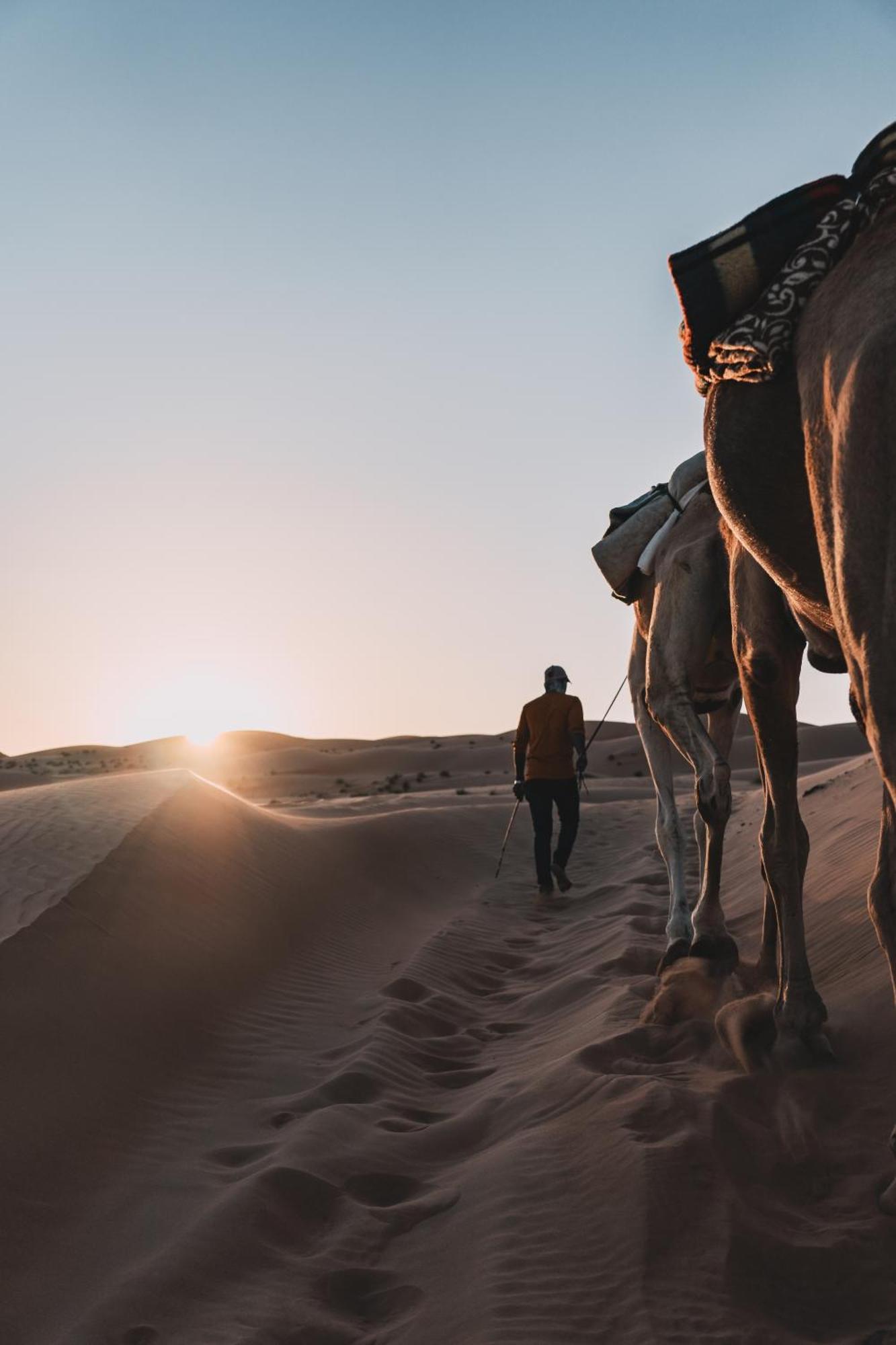 Hamood Desert Private Camp *